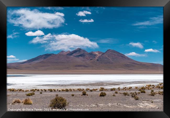 Salt lake and mountains Framed Print by Claire Turner