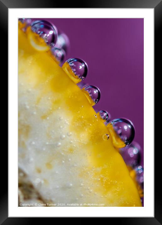 Bubbles on Lemon #1 Framed Mounted Print by Claire Turner