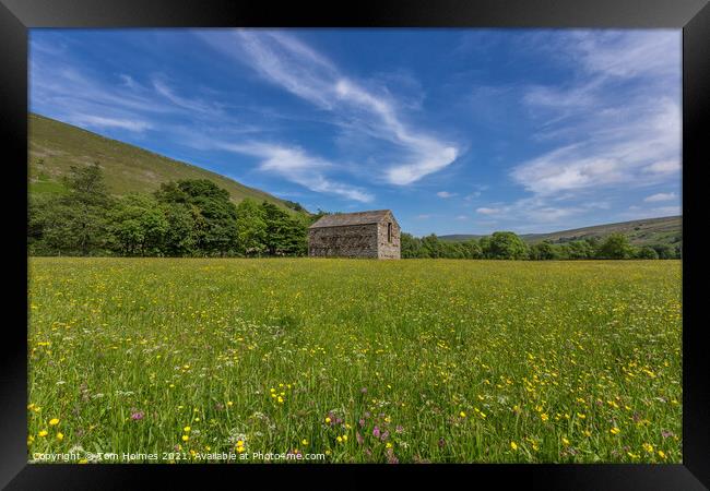 Barn In The Meadows Framed Print by Tom Holmes