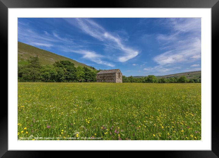 Barn In The Meadows Framed Mounted Print by Tom Holmes