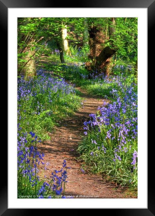 Bluebell Path Framed Mounted Print by Tom Holmes