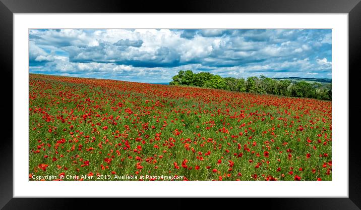 Poppy Fields at Bury Hill Framed Mounted Print by Chris Allen