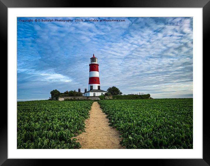 Happisburgh lighthouse Norfolk  Framed Mounted Print by D Buttolph Photography