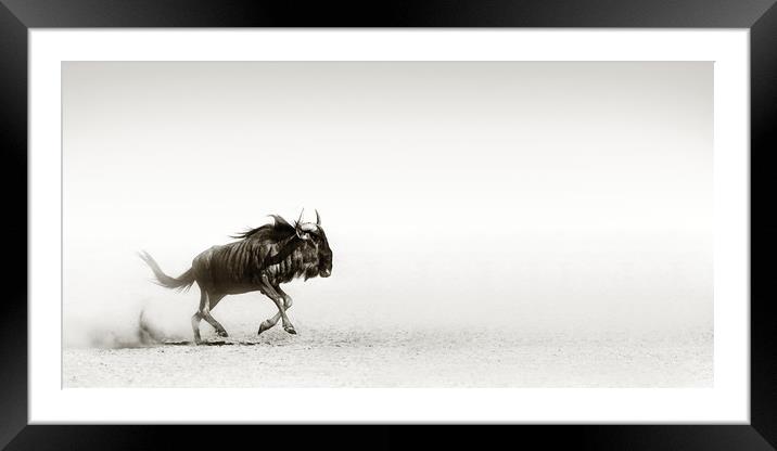 Blue wildebeest in desert Framed Mounted Print by Johan Swanepoel