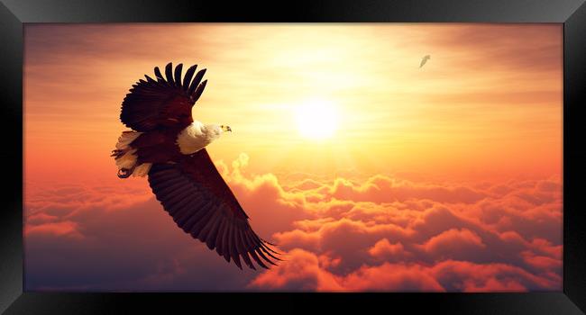 African Fish Eagle flying above clouds Framed Print by Johan Swanepoel