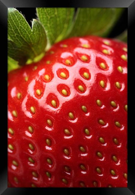 Fresh strawberry close-up Framed Print by Johan Swanepoel