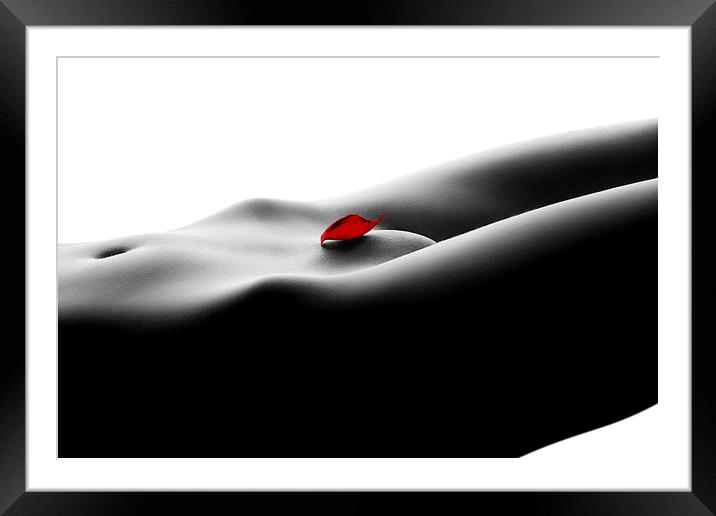 Nude bodyscape on white 1 Framed Mounted Print by Johan Swanepoel