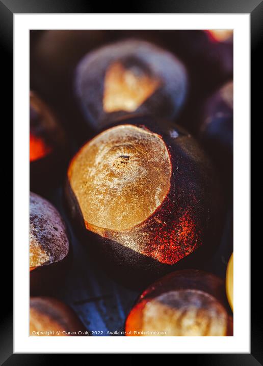Chestnut at Sunset Framed Mounted Print by Ciaran Craig
