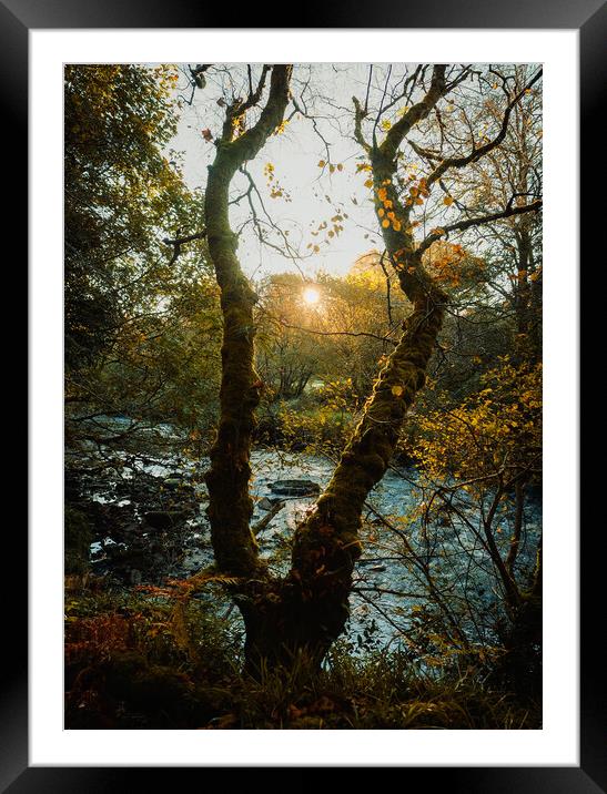 Autumn Sunrise  Framed Mounted Print by Ciaran Craig