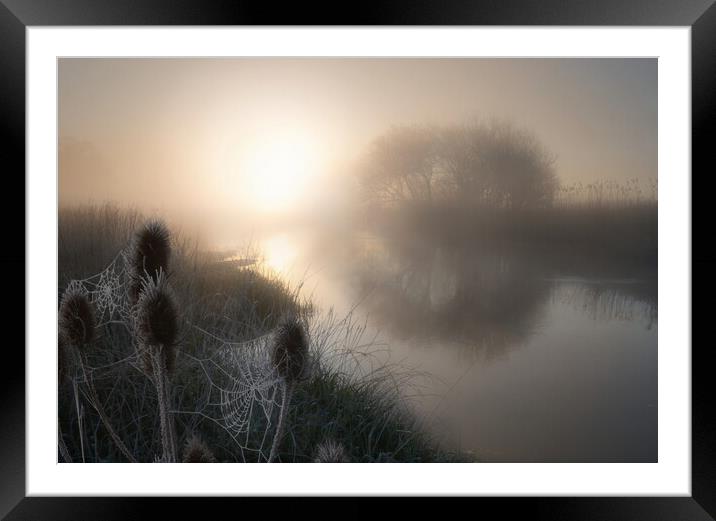 Spring Frost on the Dorset Stour Framed Mounted Print by David Neighbour