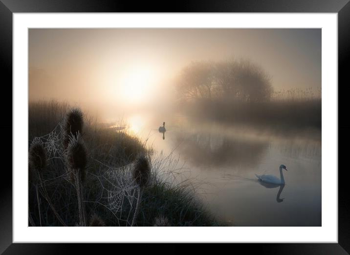 Magical Morning on the Dorset Stour Framed Mounted Print by David Neighbour