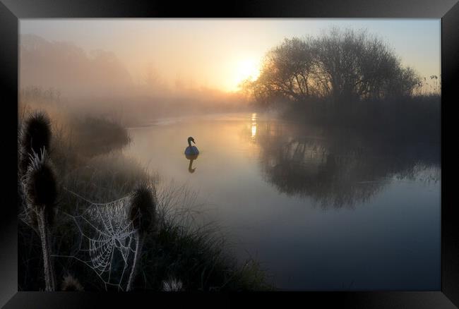 Stour Serenity Framed Print by David Neighbour