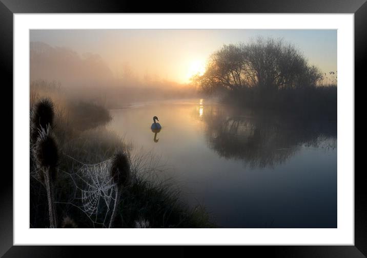 Stour Serenity Framed Mounted Print by David Neighbour
