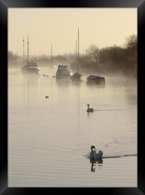 Tranquility at the Quay Framed Print by David Neighbour