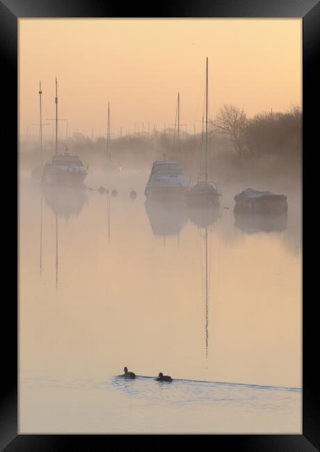 Quay Dawn Framed Print by David Neighbour