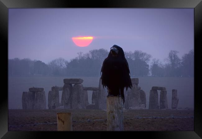 Stonehenge Sunrise Framed Print by David Neighbour