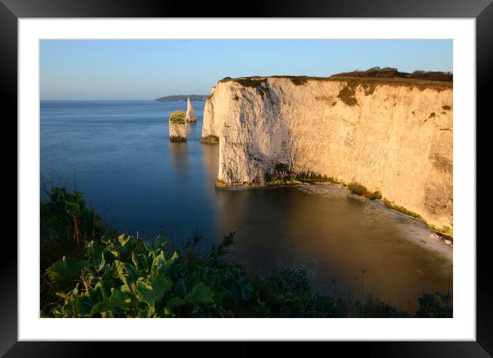 Morning at Old Harry Rocks Framed Mounted Print by David Neighbour