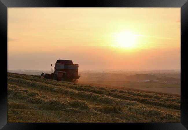 Harvest time Framed Print by David Neighbour