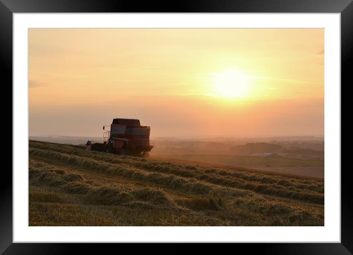Harvest time Framed Mounted Print by David Neighbour