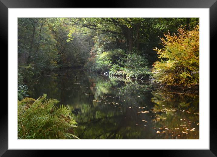 Autumn at Fingle Bridge Framed Mounted Print by David Neighbour