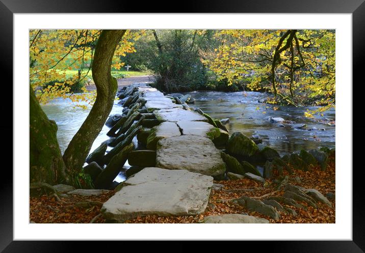 Tarr Steps Framed Mounted Print by David Neighbour