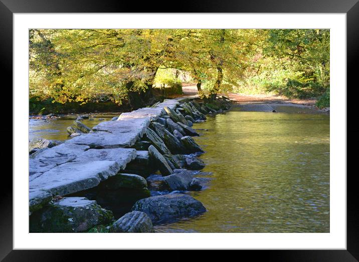 Tarr Steps Clapper Bridge Framed Mounted Print by David Neighbour