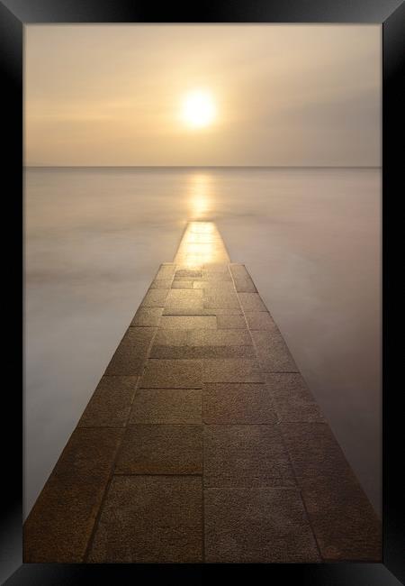 Lyme Regis Symmetry Framed Print by David Neighbour