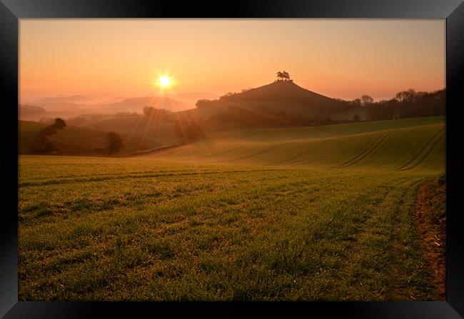 Dewy Morning at Colmer's Hill Framed Print by David Neighbour