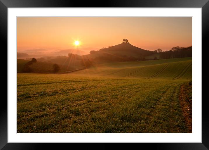 Dewy Morning at Colmer's Hill Framed Mounted Print by David Neighbour