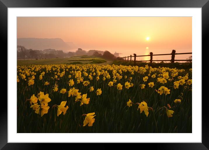 Sidmouth Sunrise Framed Mounted Print by David Neighbour