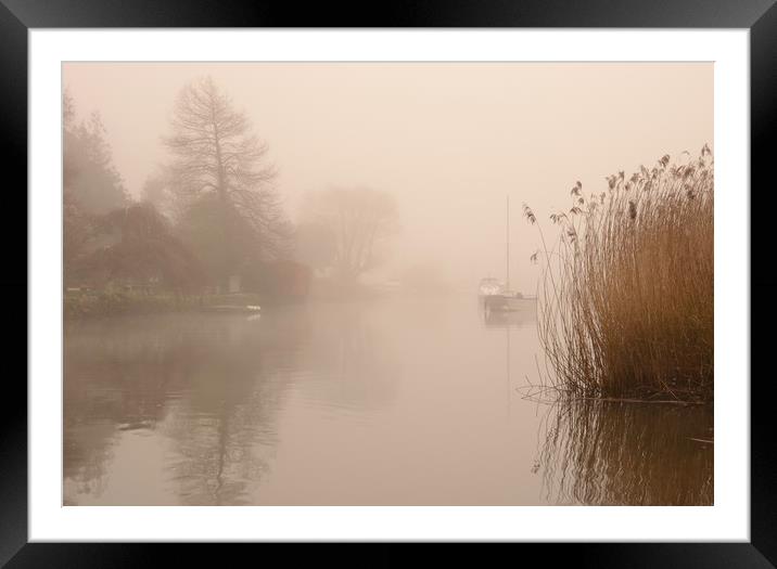 River Frome Mist Framed Mounted Print by David Neighbour