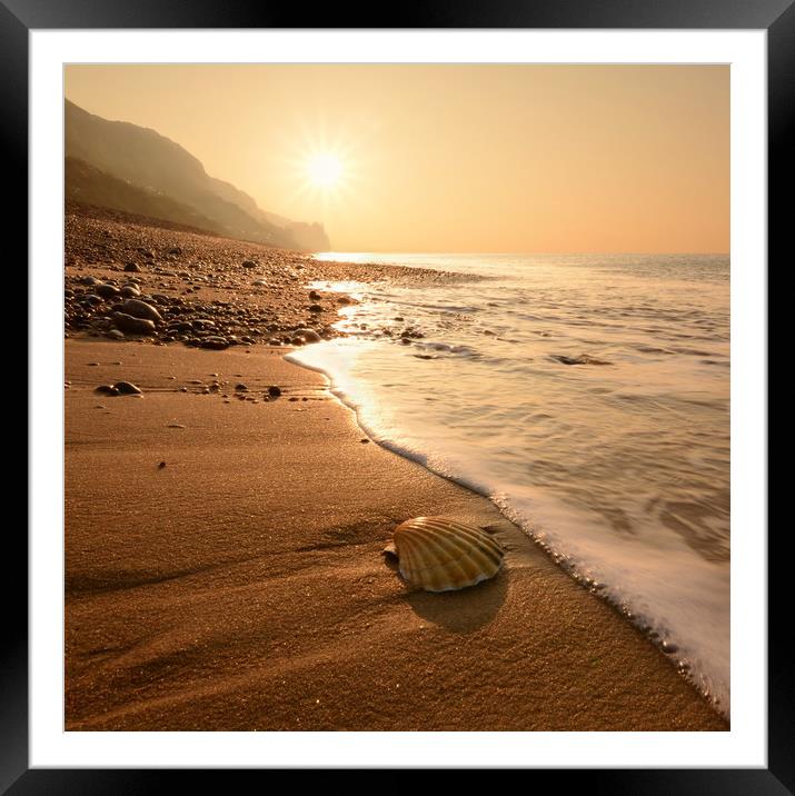 Branscombe Beach Scallop Square Format Framed Mounted Print by David Neighbour