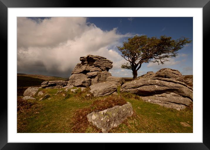 The Tree and the Tor Framed Mounted Print by David Neighbour