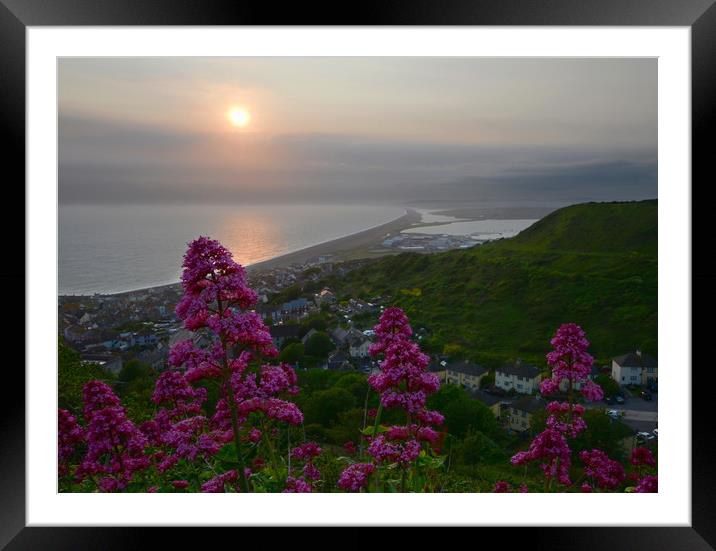 View from Portland Heights Framed Mounted Print by David Neighbour