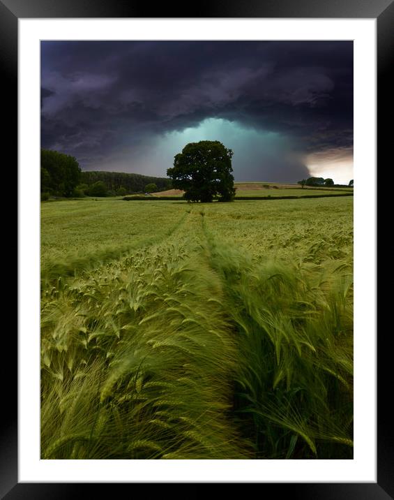 Barley Water Framed Mounted Print by David Neighbour