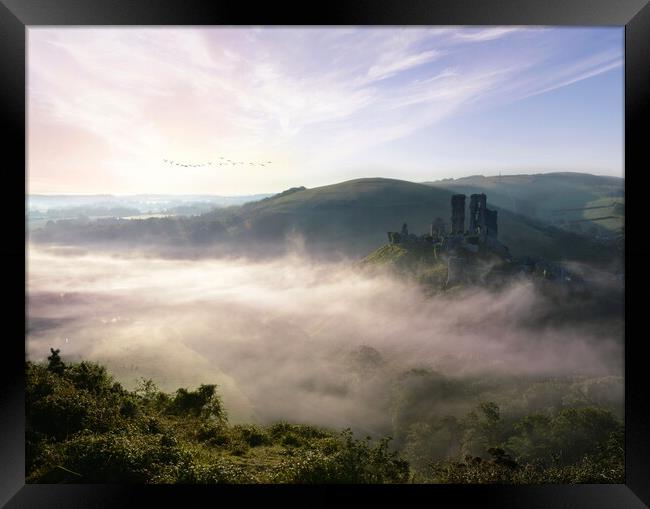 Fresh New Day at Corfe Castle Framed Print by David Neighbour