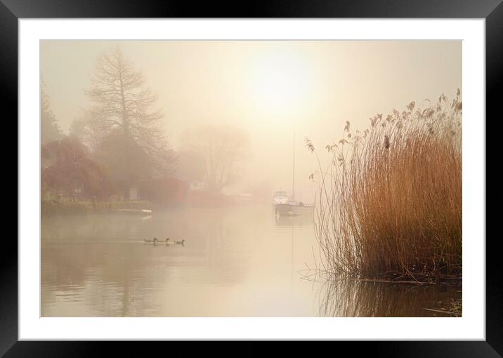 Wareham Mists Landscape Crop Framed Mounted Print by David Neighbour