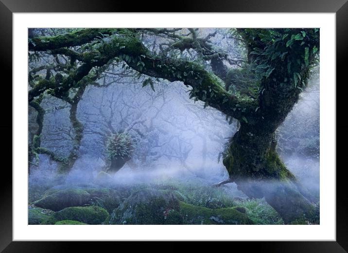 Will-o'-the-Wisp Framed Mounted Print by David Neighbour
