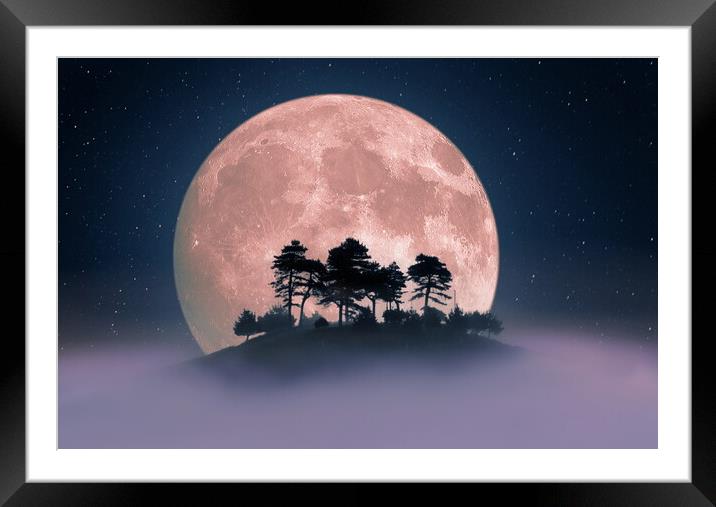 Colmer's Pink Supermoon Framed Mounted Print by David Neighbour