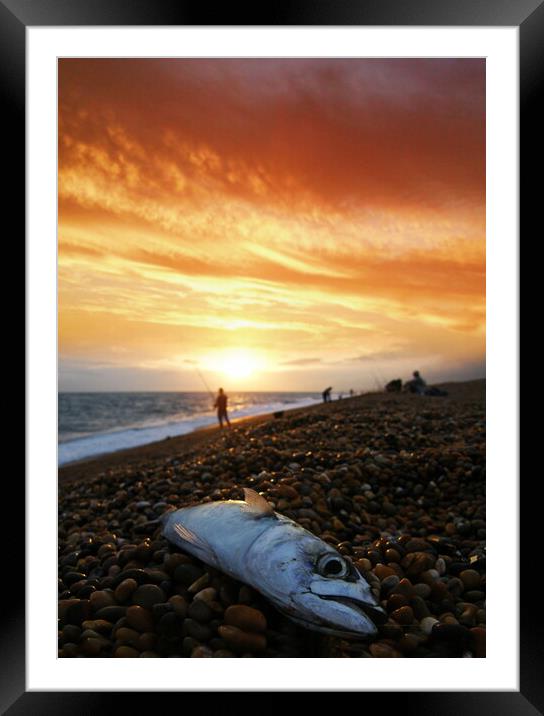 Mackerel Fishing on Chesil Beach Framed Mounted Print by David Neighbour