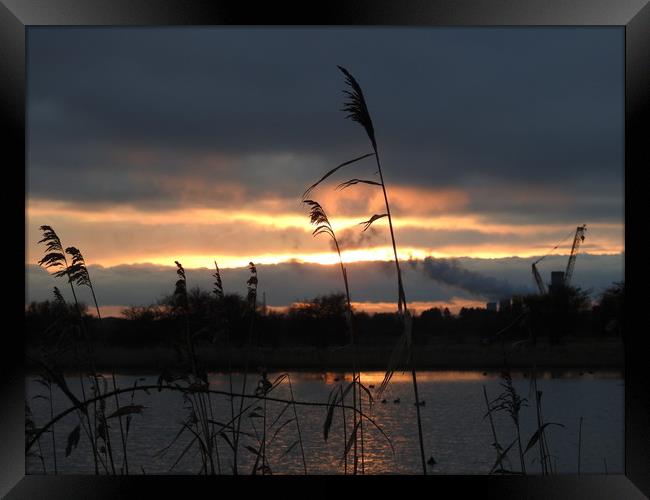 Sunset over Teesside Framed Print by Pauline Raine