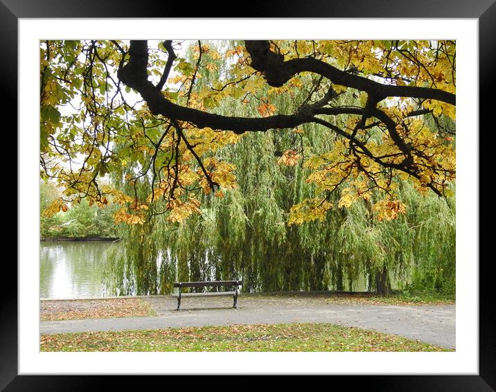 Bench by the Lake Framed Mounted Print by Pauline Raine