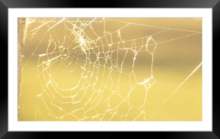 Autumn Spiderwebs Framed Mounted Print by Matthew Balls