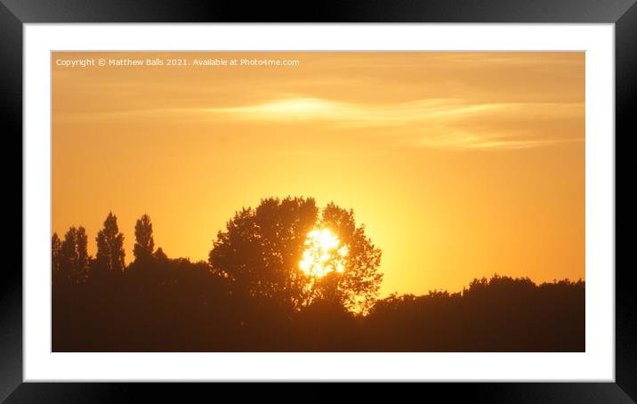 Sunset in  A Tree Framed Mounted Print by Matthew Balls