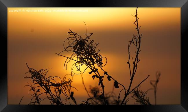 Sky sun Framed Print by Matthew Balls