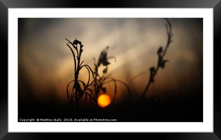 Sunset Rides a Bike         Framed Mounted Print by Matthew Balls