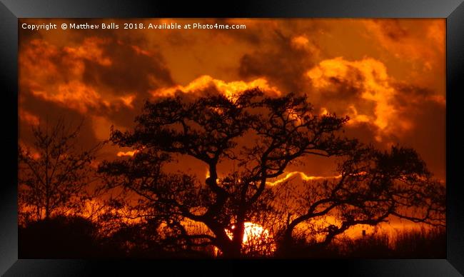   Gone With The Wind                   Framed Print by Matthew Balls