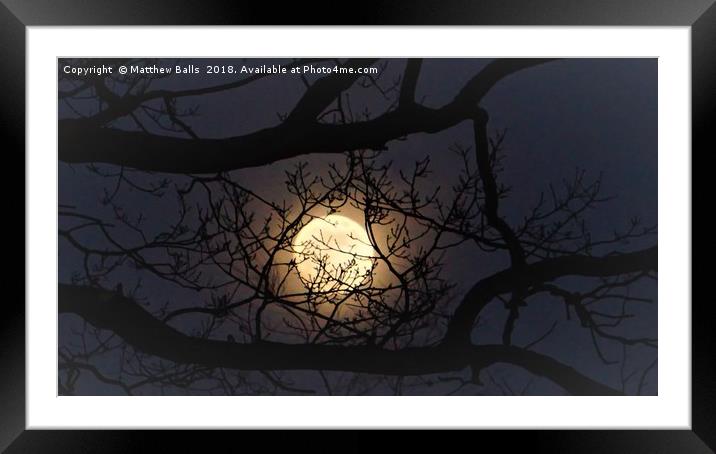                   Super moon Rising In A Tree      Framed Mounted Print by Matthew Balls