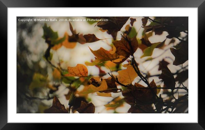                         Blowing in the Wind        Framed Mounted Print by Matthew Balls