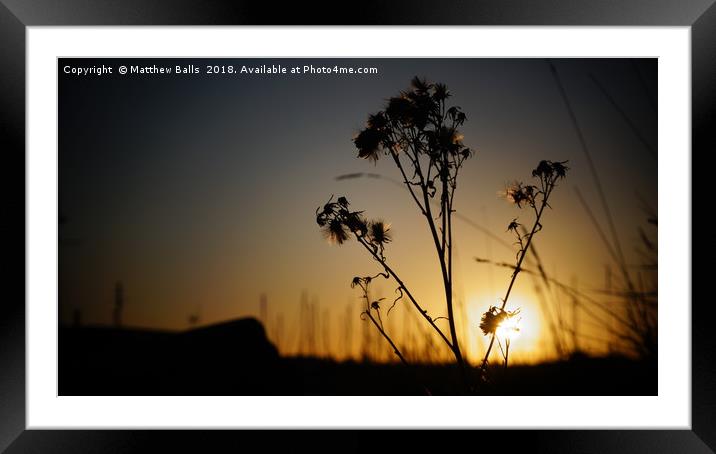                    A Lovely Silhouette             Framed Mounted Print by Matthew Balls